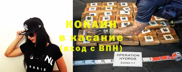 прущая мука Инсар