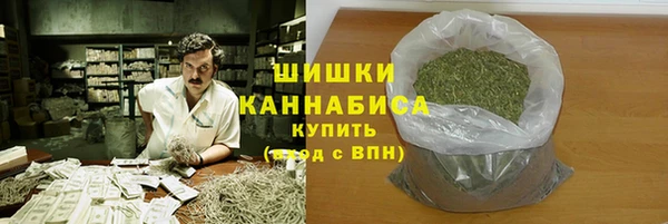 прущая мука Инсар