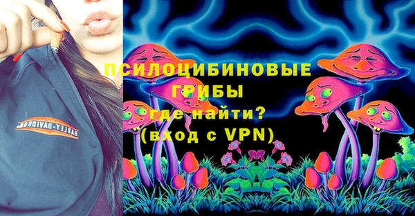 прущая мука Инсар