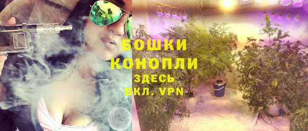 прущая мука Инсар