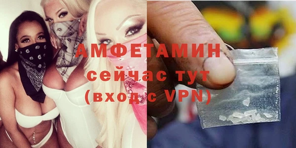 прущая мука Инсар