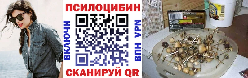 Галлюциногенные грибы Psilocybine cubensis  Купить  Донской 