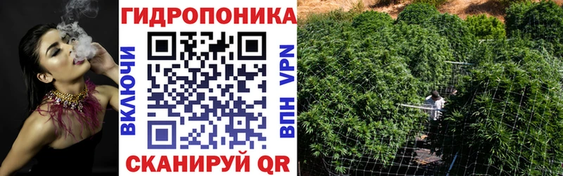 Купить где  Донской  Шишки марихуана ГИДРОПОН 